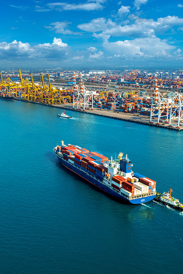 国際貿易・再輸出事業